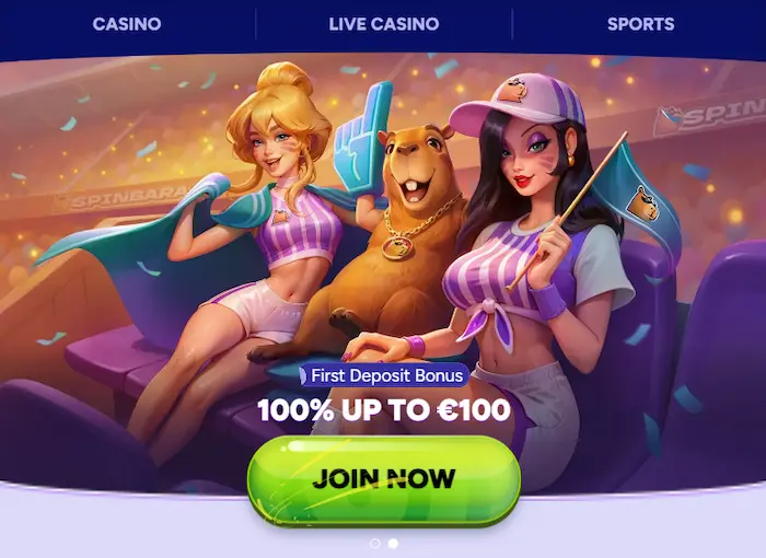 Αναλήψεις και μέθοδοι πληρωμής στο Spinbara Casino